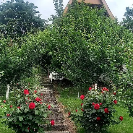 Negovanovic Vikendica 公寓 *