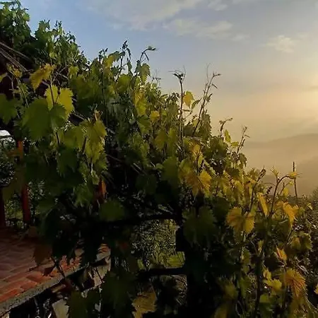 Negovanovic Vikendica Bukorovac