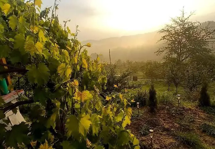 Апартаменты Negovanovic Vikendica Bukorovac